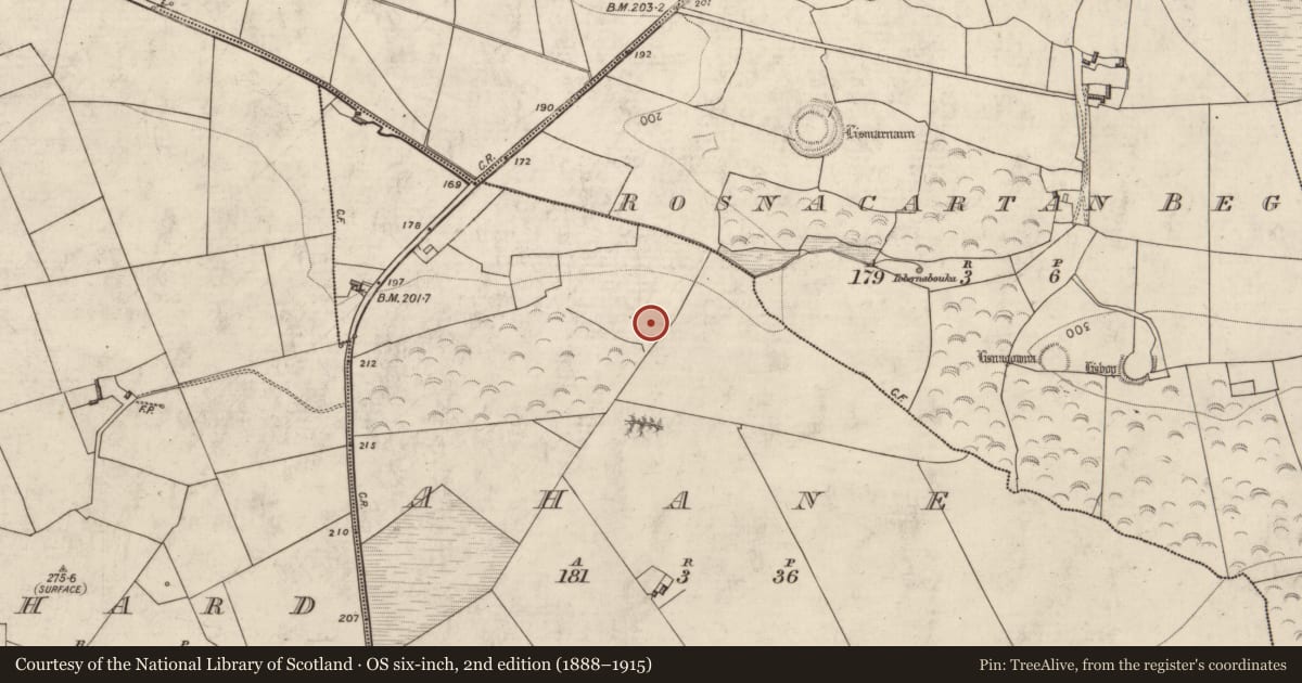 Ordnance Survey six-inch map, 2nd edition (1888–1915) covering the location of Ringfort - rath, Ahane, County Kerry, with a pin at the register's coordinates