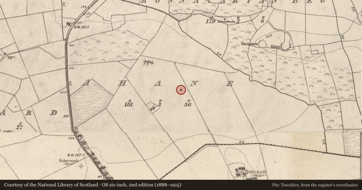 Ordnance Survey six-inch map, 2nd edition (1888–1915) covering the location of Ringfort - rath, Ahane, County Kerry, with a pin at the register's coordinates