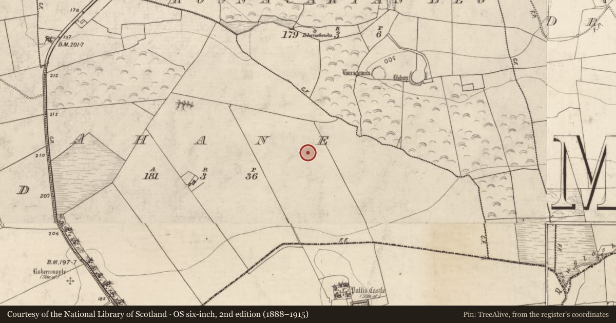 Ordnance Survey six-inch map, 2nd edition (1888–1915) covering the location of Ringfort - rath, Ahane, County Kerry, with a pin at the register's coordinates