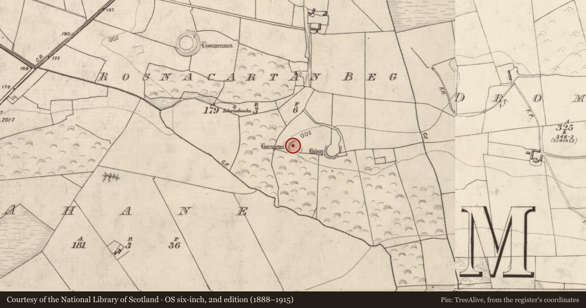 Ordnance Survey six-inch map, 2nd edition (1888–1915) covering the location of Ringfort - rath, Rosnacartan Beg, County Kerry, with a pin at the register's coordinates