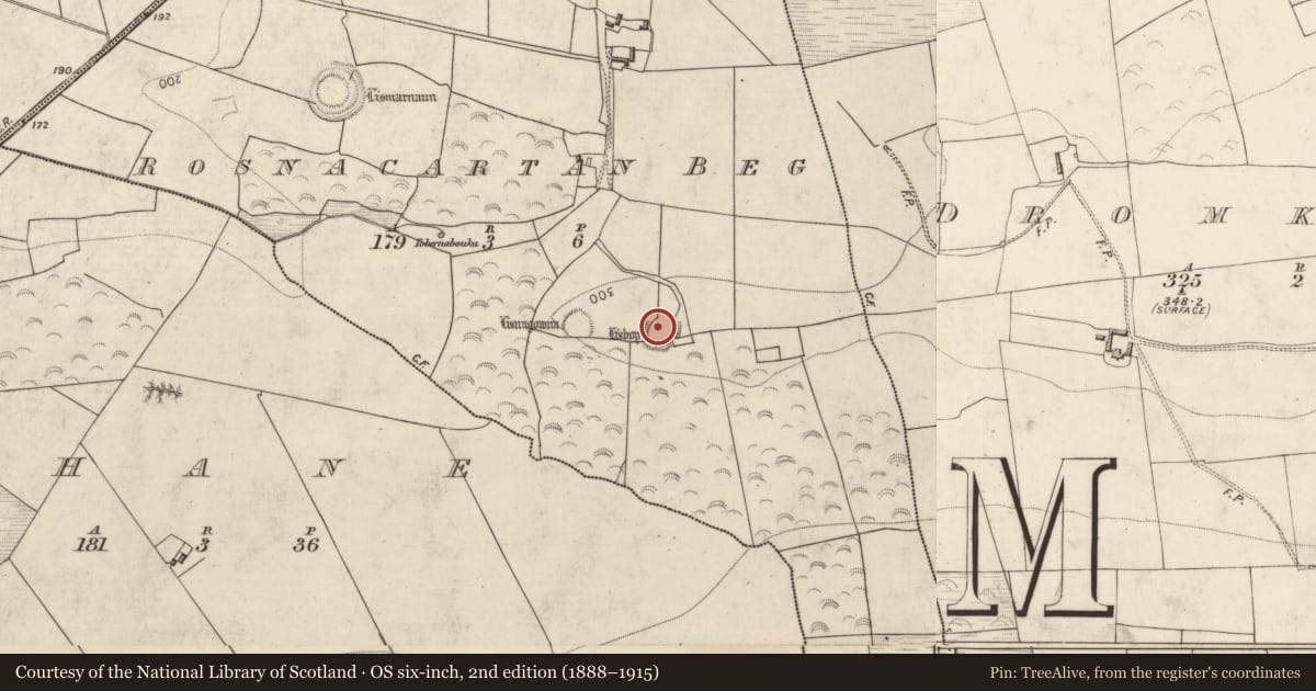 Ordnance Survey six-inch map, 2nd edition (1888–1915) covering the location of Ringfort - rath, Rosnacartan Beg, County Kerry, with a pin at the register's coordinates