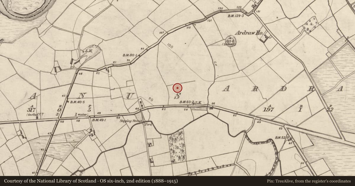Ordnance Survey six-inch map, 2nd edition (1888–1915) covering the location of Ringfort - rath, Meanus (Dunkerron North By., Knockane Par.), County Kerry, with a pin at the register's coordinates