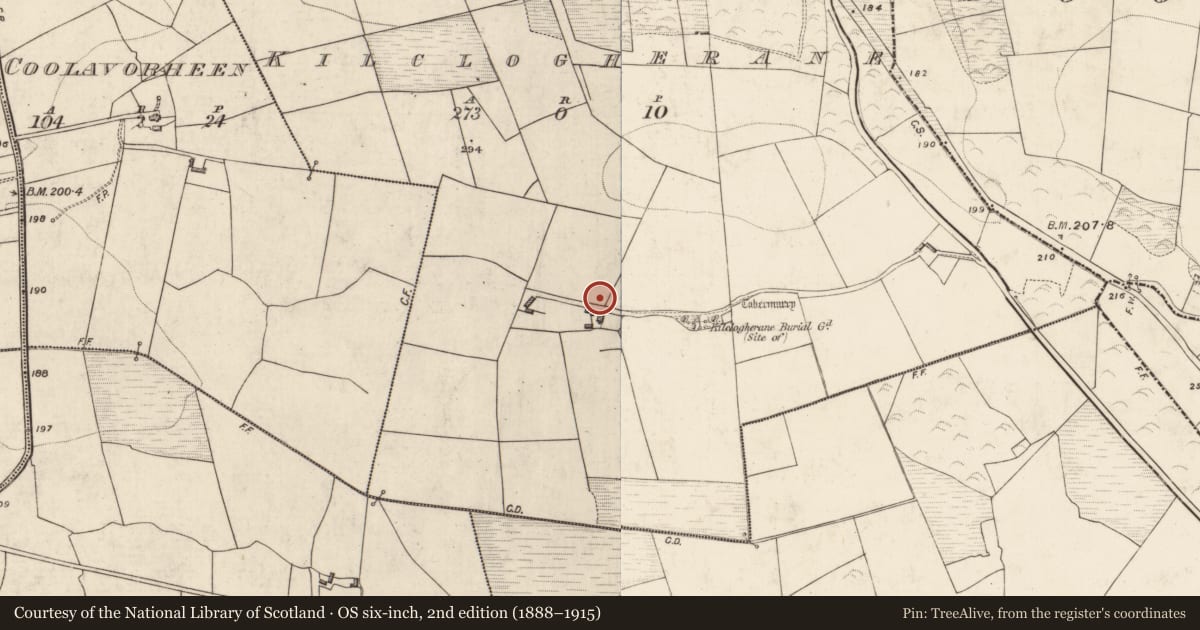 Ordnance Survey six-inch map, 2nd edition (1888–1915) covering the location of Bullaun stone, Kilclogherane, County Kerry, with a pin at the register's coordinates