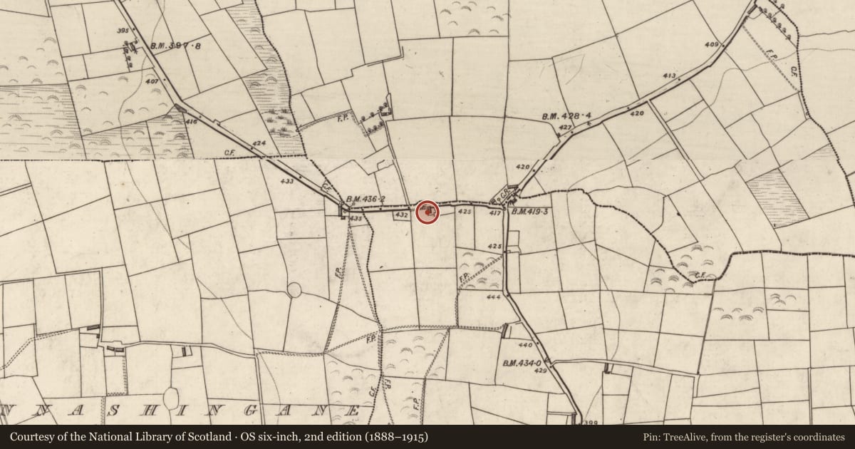 Ordnance Survey six-inch map, 2nd edition (1888–1915) covering the location of Ogham stone (present location), Laharan, County Kerry, with a pin at the register's coordinates