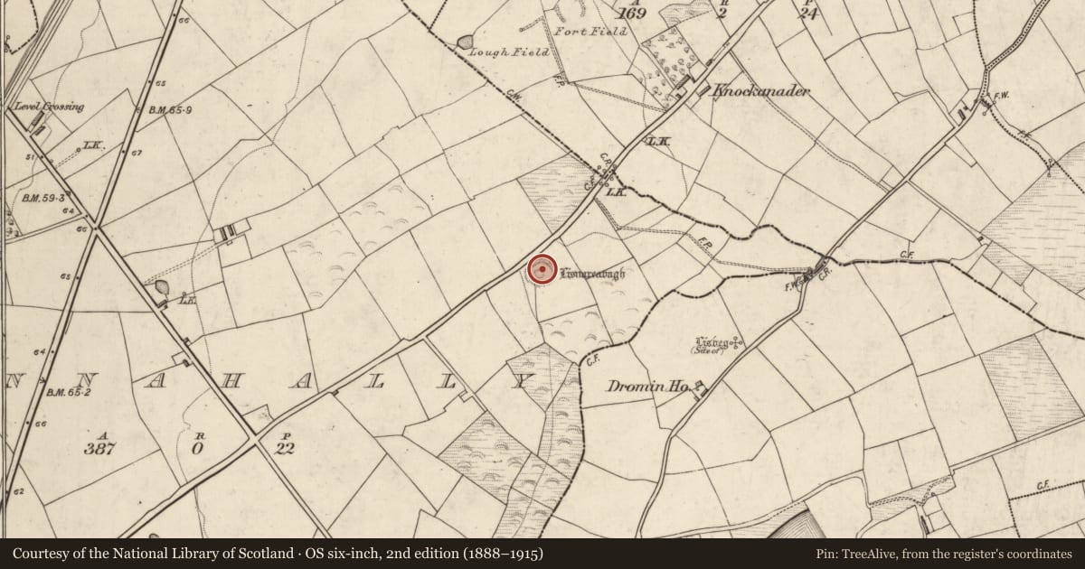 Ordnance Survey six-inch map, 2nd edition (1888–1915) covering the location of Ogham stone, Tinnahally, County Kerry, with a pin at the register's coordinates