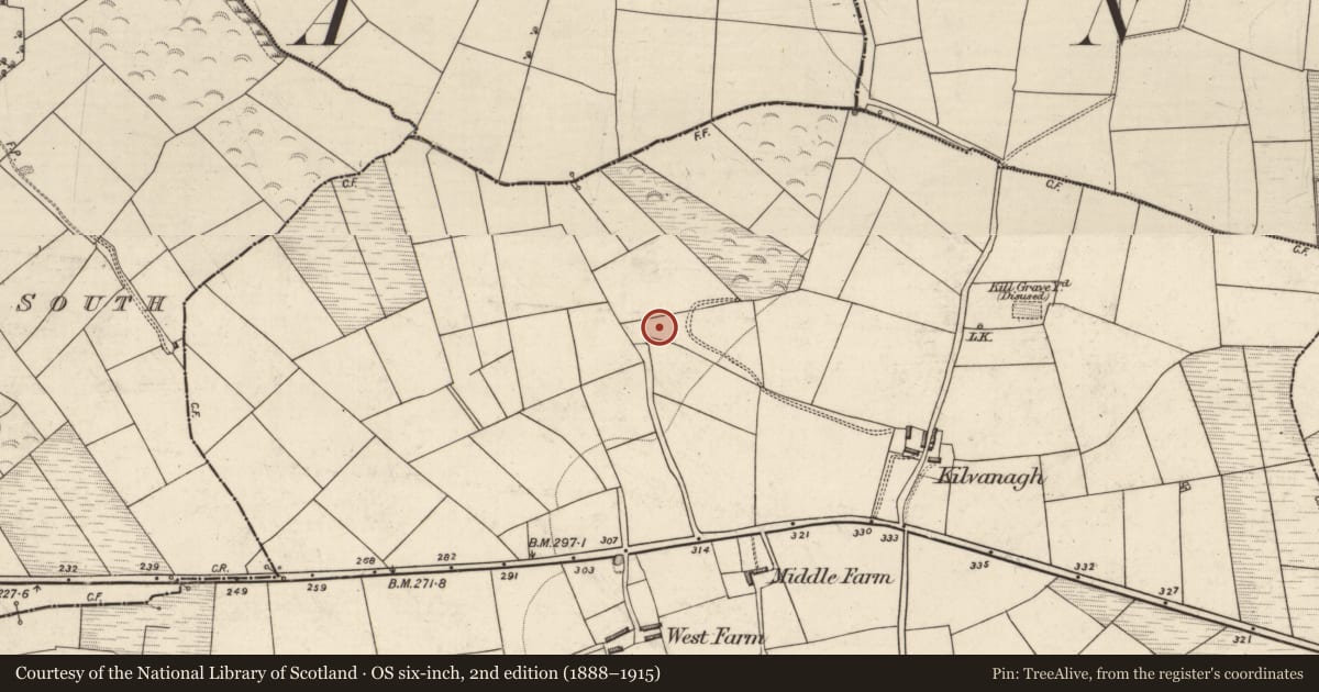 Ordnance Survey six-inch map, 2nd edition (1888–1915) covering the location of Burnt spread, Farranmanagh, County Kerry, with a pin at the register's coordinates