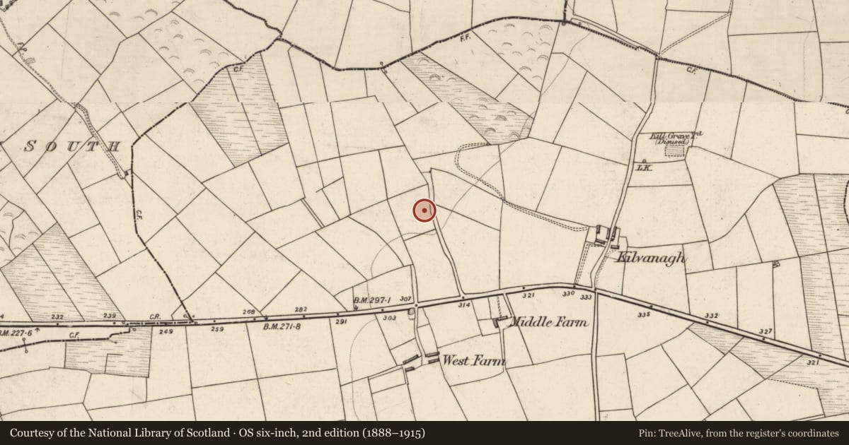 Ordnance Survey six-inch map, 2nd edition (1888–1915) covering the location of Burnt spread, Farranmanagh, County Kerry, with a pin at the register's coordinates