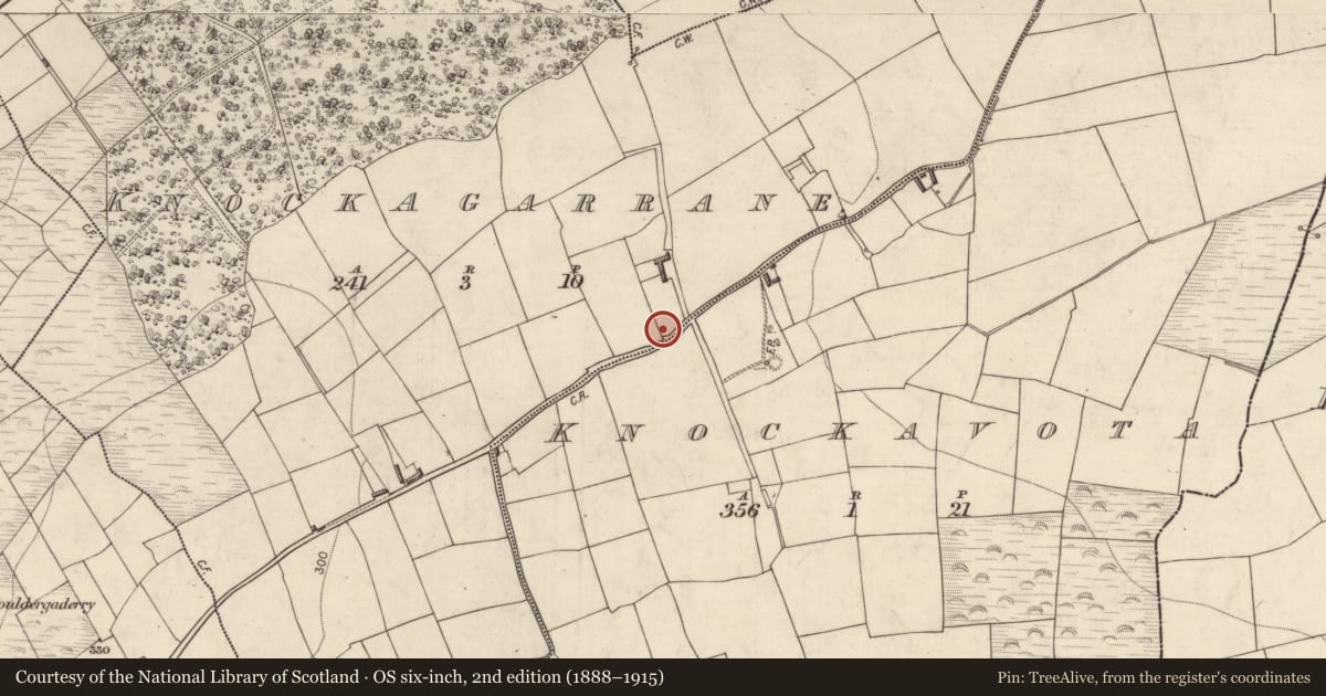 Ordnance Survey six-inch map, 2nd edition (1888–1915) covering the location of Souterrain, Knockagarrane, County Kerry, with a pin at the register's coordinates