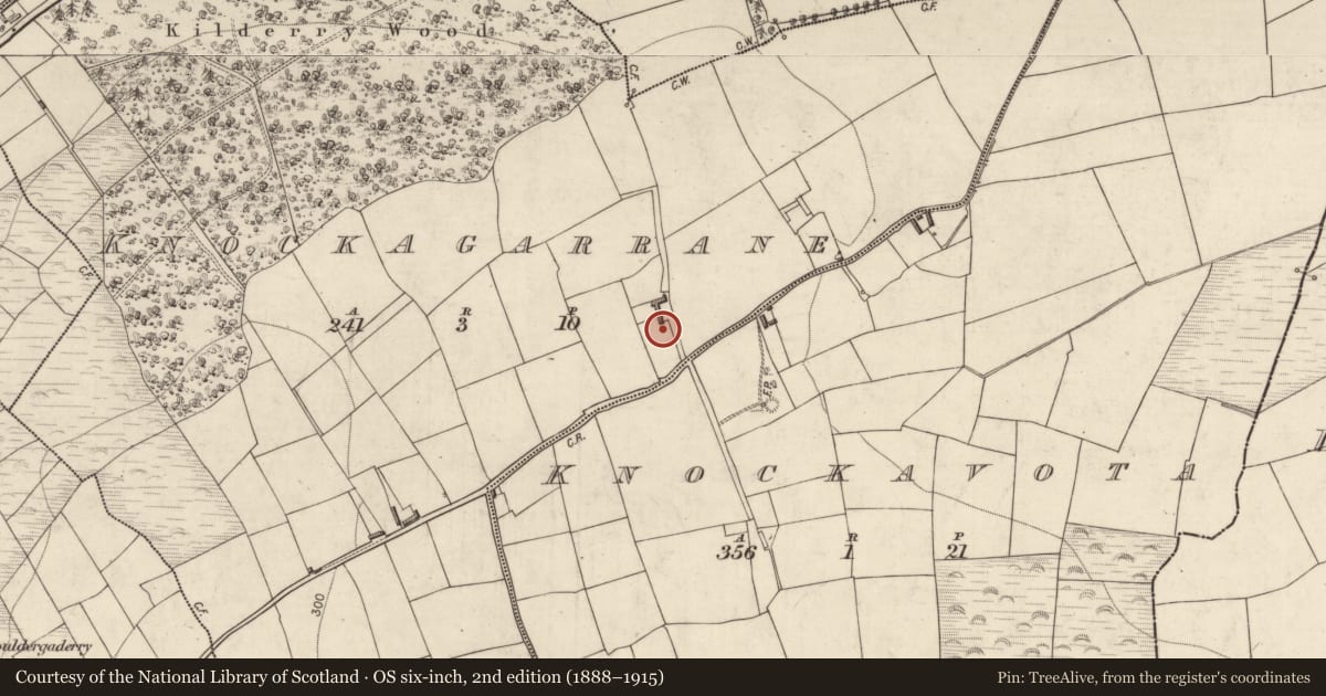 Ordnance Survey six-inch map, 2nd edition (1888–1915) covering the location of Ogham stone (present location), Knockagarrane, County Kerry, with a pin at the register's coordinates