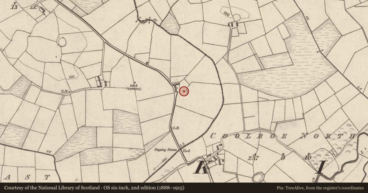 Ordnance Survey six-inch map, 2nd edition (1888–1915) covering the location of Ringfort - rath, Nantinan, County Kerry, with a pin at the register's coordinates