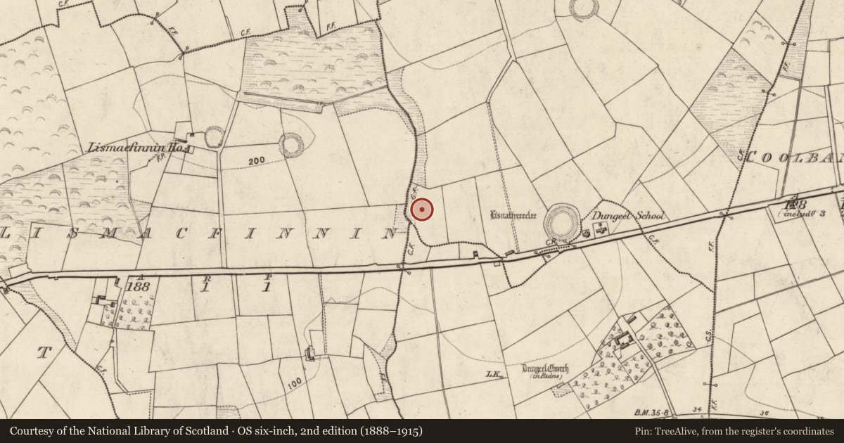 Ordnance Survey six-inch map, 2nd edition (1888–1915) covering the location of Burnt spread, Corbally, County Kerry, with a pin at the register's coordinates