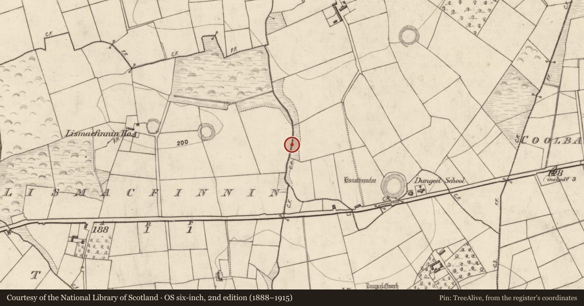 Ordnance Survey six-inch map, 2nd edition (1888–1915) covering the location of Fulacht fia, Corbally, County Kerry, with a pin at the register's coordinates