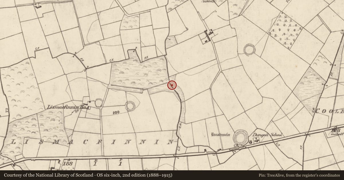 Ordnance Survey six-inch map, 2nd edition (1888–1915) covering the location of Fulacht fia, Corbally, County Kerry, with a pin at the register's coordinates