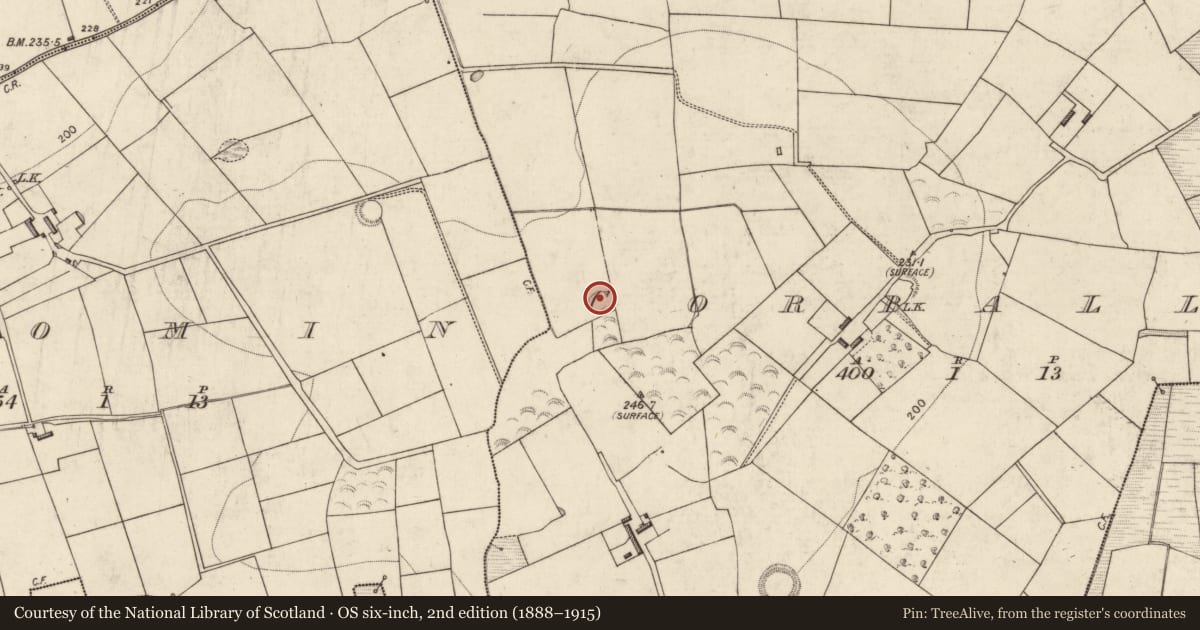 Ordnance Survey six-inch map, 2nd edition (1888–1915) covering the location of Burnt spread, Corbally, County Kerry, with a pin at the register's coordinates