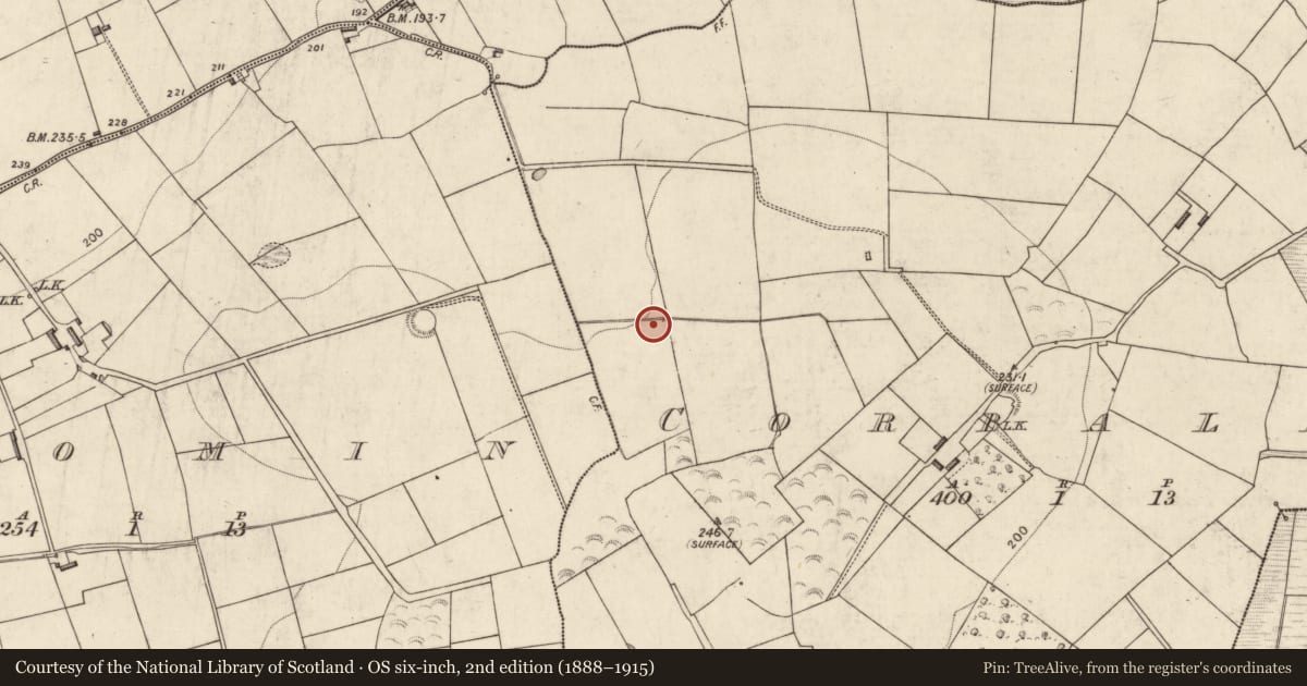 Ordnance Survey six-inch map, 2nd edition (1888–1915) covering the location of Burnt spread, Corbally, County Kerry, with a pin at the register's coordinates