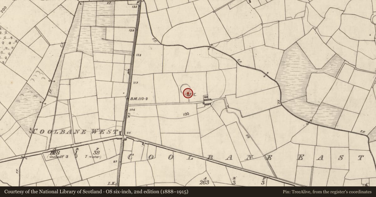 Ordnance Survey six-inch map, 2nd edition (1888–1915) covering the location of Kiln - lime, Coolbane East (Magunihy By., Kilbonane Par.), County Kerry, with a pin at the register's coordinates