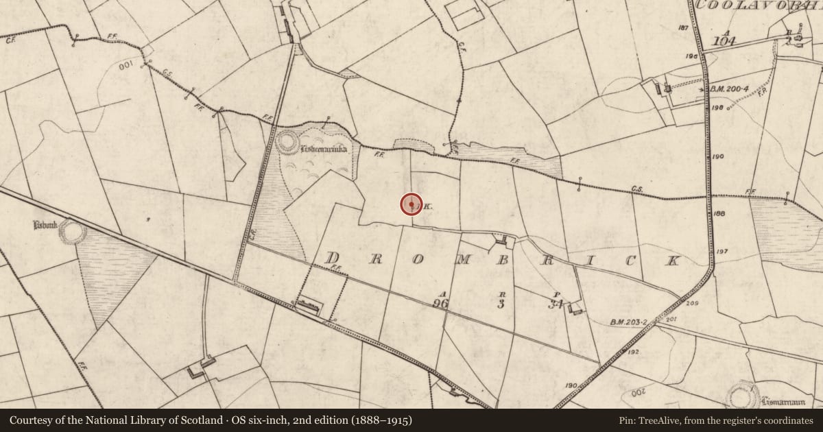 Ordnance Survey six-inch map, 2nd edition (1888–1915) covering the location of Kiln - lime, Drombrick, County Kerry, with a pin at the register's coordinates