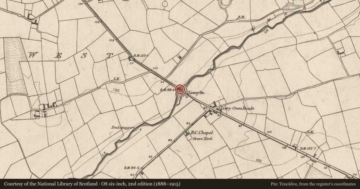 Ordnance Survey six-inch map, 2nd edition (1888–1915) covering the location of Bridge, County Kerry, with a pin at the register's coordinates