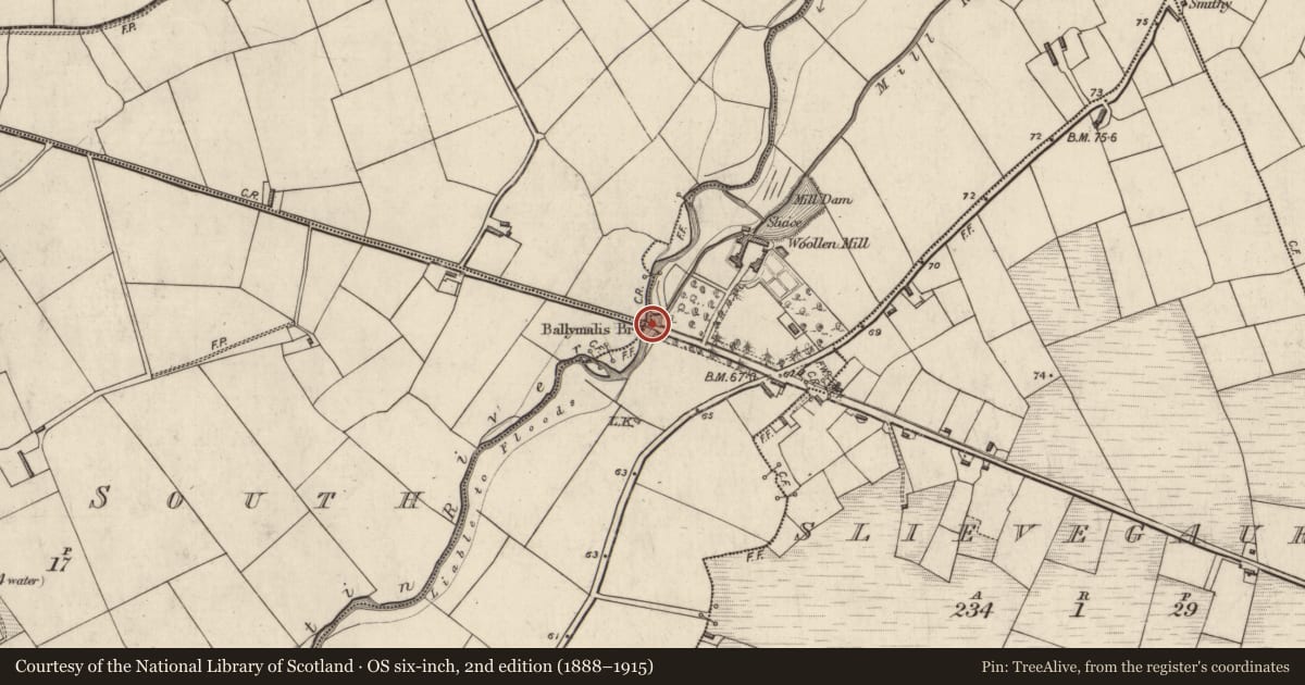 Ordnance Survey six-inch map, 2nd edition (1888–1915) covering the location of Bridge, County Kerry, with a pin at the register's coordinates