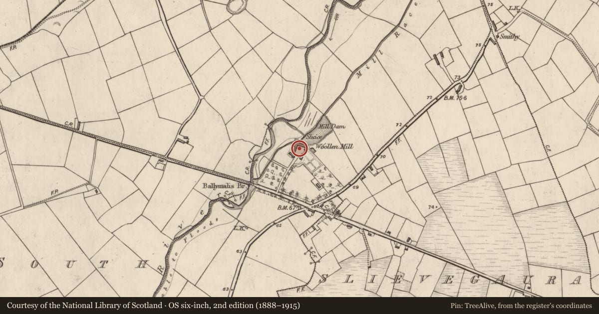 Ordnance Survey six-inch map, 2nd edition (1888–1915) covering the location of Mill - paper, Ballymalis, County Kerry, with a pin at the register's coordinates