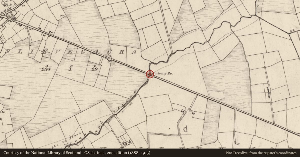 Ordnance Survey six-inch map, 2nd edition (1888–1915) covering the location of Bridge, Culleeny More, Slievegaura, County Kerry, with a pin at the register's coordinates