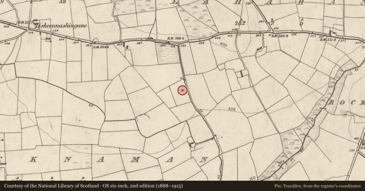 Ordnance Survey six-inch map, 2nd edition (1888–1915) covering the location of Burnt spread, Lisheennashingane, County Kerry, with a pin at the register's coordinates