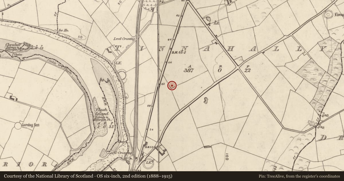 Ordnance Survey six-inch map, 2nd edition (1888–1915) covering the location of Rock scribing, Tinnahally, County Kerry, with a pin at the register's coordinates