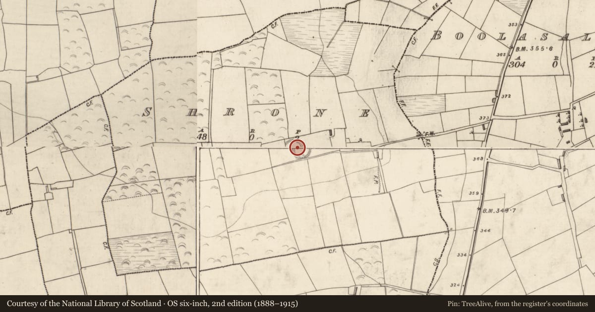 Ordnance Survey six-inch map, 2nd edition (1888–1915) covering the location of Ringfort - rath, Shrone, County Kerry, with a pin at the register's coordinates