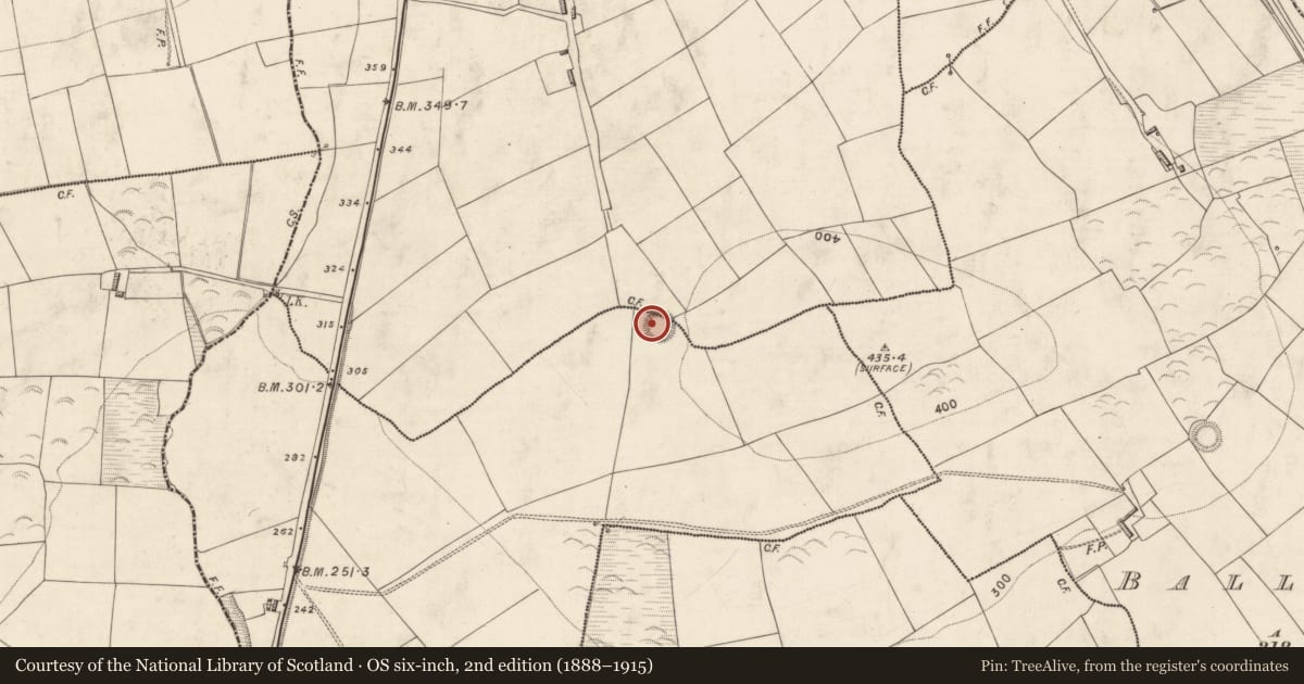 Ordnance Survey six-inch map, 2nd edition (1888–1915) covering the location of Ringfort - rath, Ballynacarrig West, Boolasallagh, County Kerry, with a pin at the register's coordinates