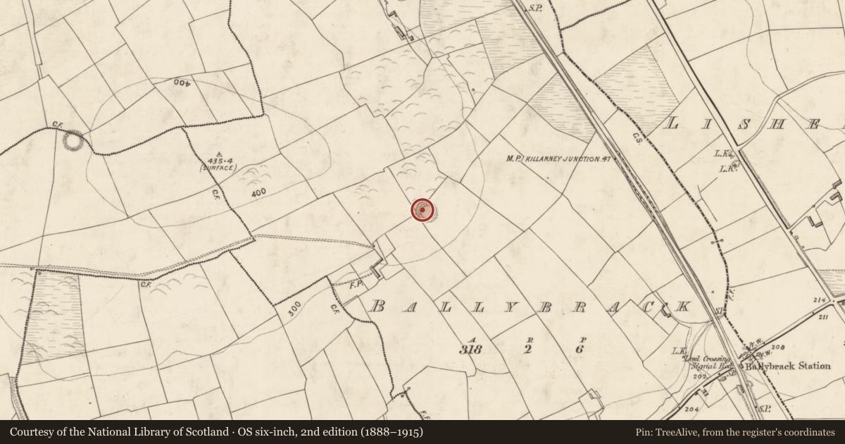 Ordnance Survey six-inch map, 2nd edition (1888–1915) covering the location of Ringfort - rath, Ballybrack, County Kerry, with a pin at the register's coordinates