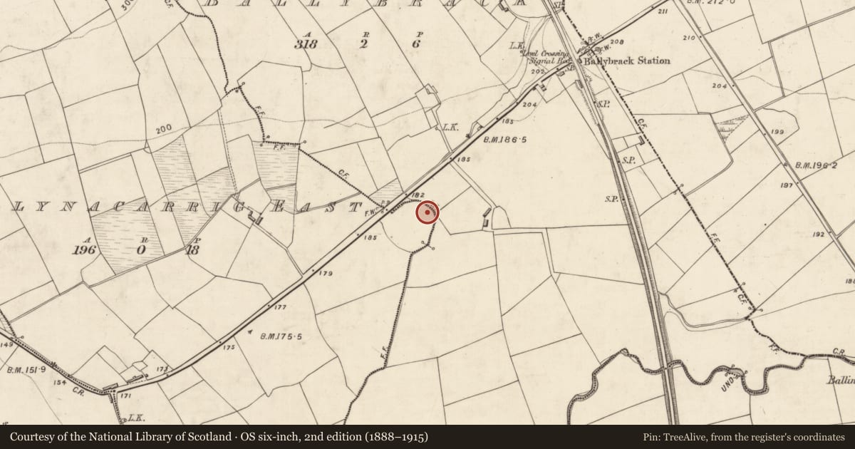 Ordnance Survey six-inch map, 2nd edition (1888–1915) covering the location of Hut site, Ballynacarrig East, County Kerry, with a pin at the register's coordinates