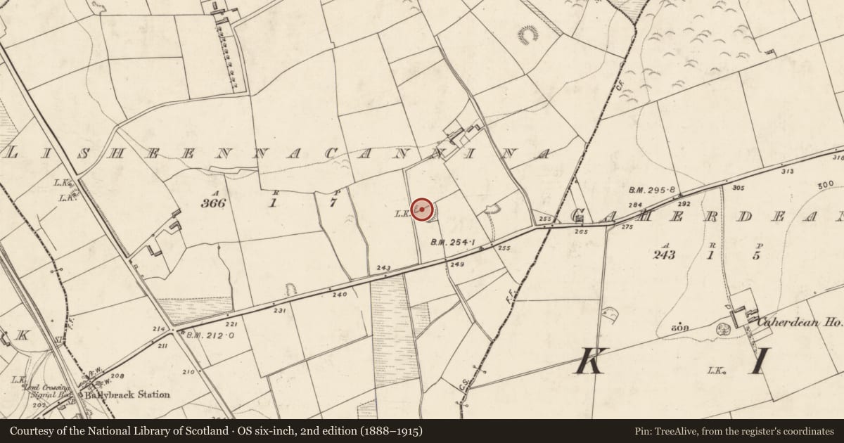 Ordnance Survey six-inch map, 2nd edition (1888–1915) covering the location of Souterrain, Lisheennacannina, County Kerry, with a pin at the register's coordinates