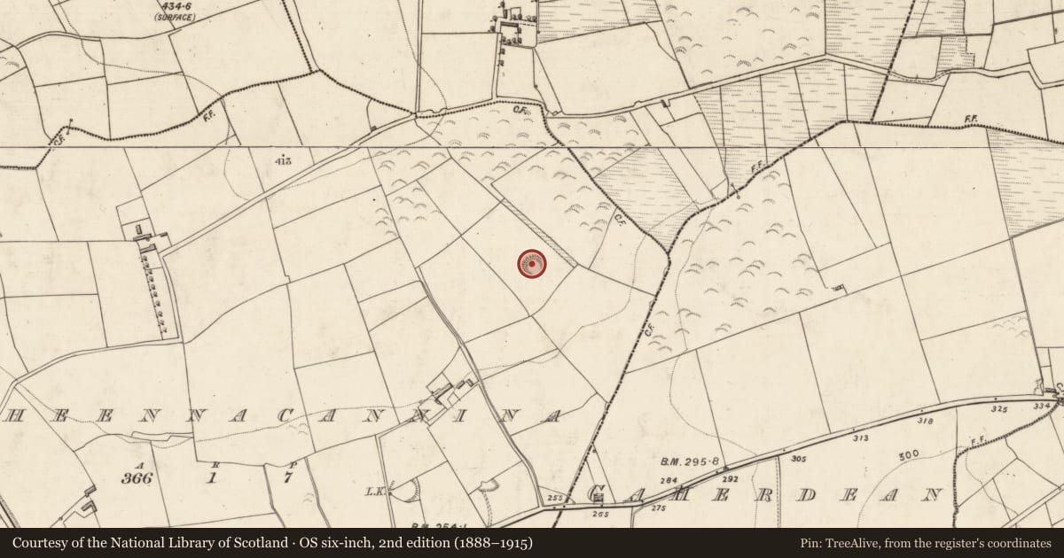 Ordnance Survey six-inch map, 2nd edition (1888–1915) covering the location of Ringfort - rath, Lisheennacannina, County Kerry, with a pin at the register's coordinates