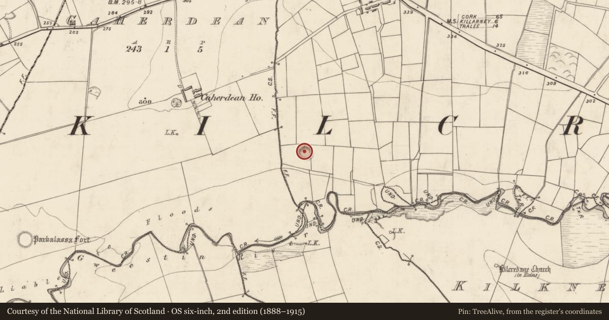 Ordnance Survey six-inch map, 2nd edition (1888–1915) covering the location of Ringfort - rath, Leamnaguila, County Kerry, with a pin at the register's coordinates