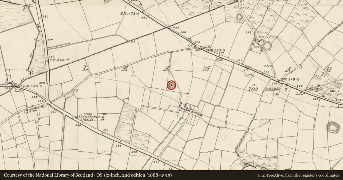 Ordnance Survey six-inch map, 2nd edition (1888–1915) covering the location of Ringfort - rath, Leamnaguila, County Kerry, with a pin at the register's coordinates