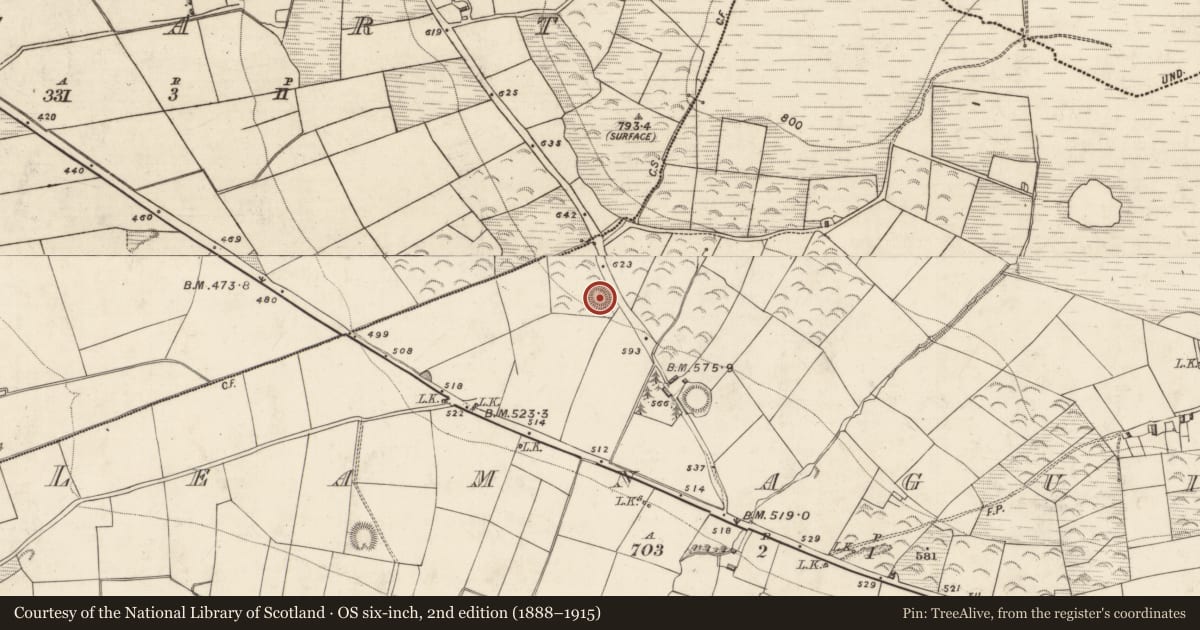 Ordnance Survey six-inch map, 2nd edition (1888–1915) covering the location of Ringfort - rath, Leamnaguila, County Kerry, with a pin at the register's coordinates