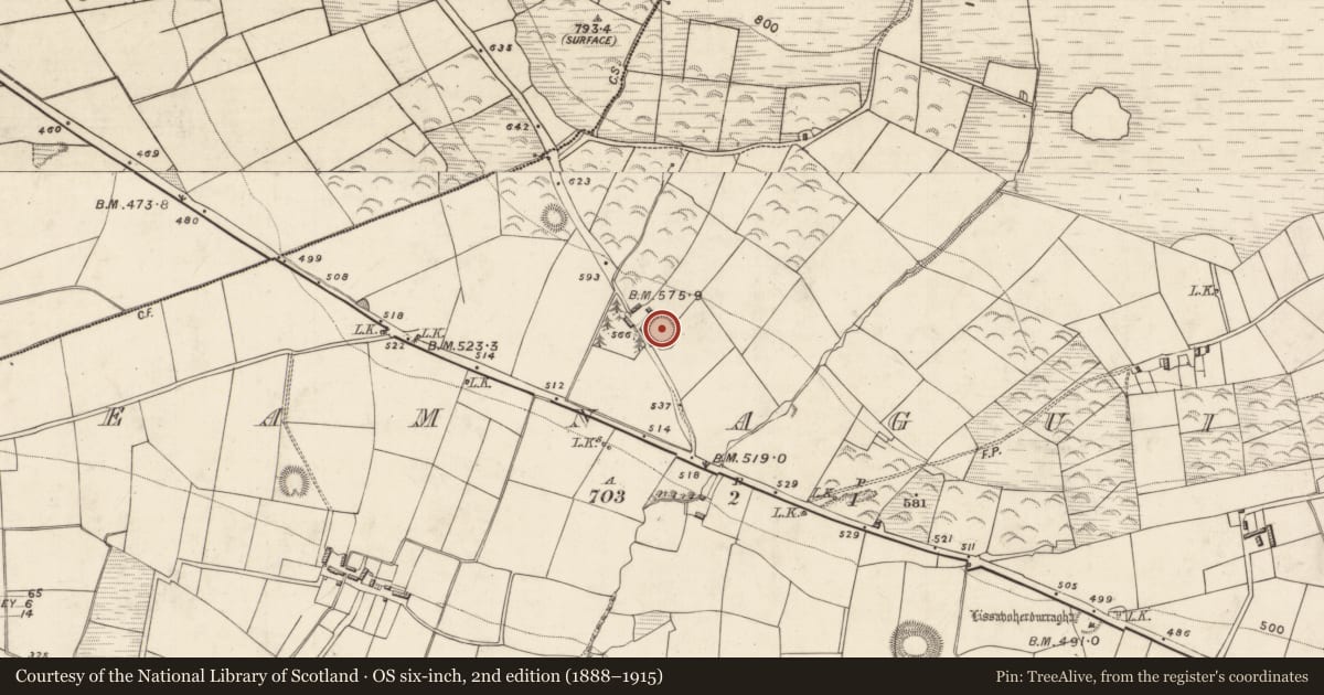 Ordnance Survey six-inch map, 2nd edition (1888–1915) covering the location of Ringfort - rath, Leamnaguila, County Kerry, with a pin at the register's coordinates