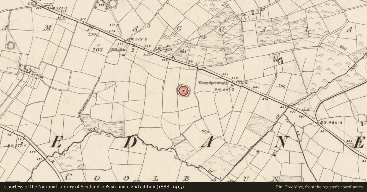 Ordnance Survey six-inch map, 2nd edition (1888–1915) covering the location of Ringfort - rath, Leamnaguila, County Kerry, with a pin at the register's coordinates