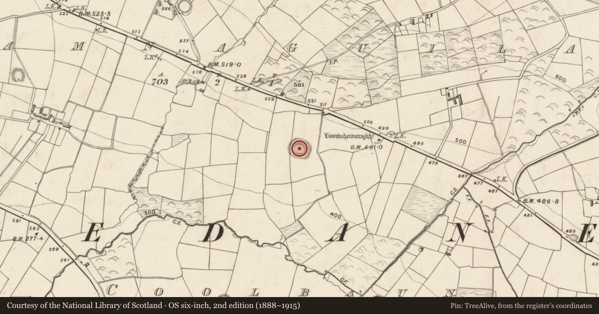 Ordnance Survey six-inch map, 2nd edition (1888–1915) covering the location of Souterrain, Leamnaguila, County Kerry, with a pin at the register's coordinates