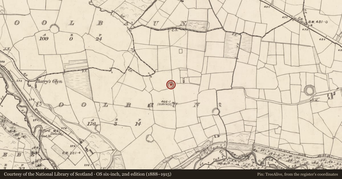 Ordnance Survey six-inch map, 2nd edition (1888–1915) covering the location of Ringfort - rath, Coolbaun (Magunihy By., Kilcummin Par.), County Kerry, with a pin at the register's coordinates