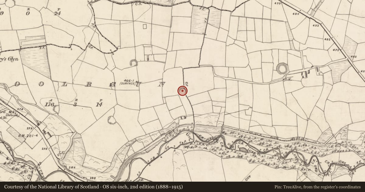 Ordnance Survey six-inch map, 2nd edition (1888–1915) covering the location of Ringfort - rath, County Kerry, with a pin at the register's coordinates