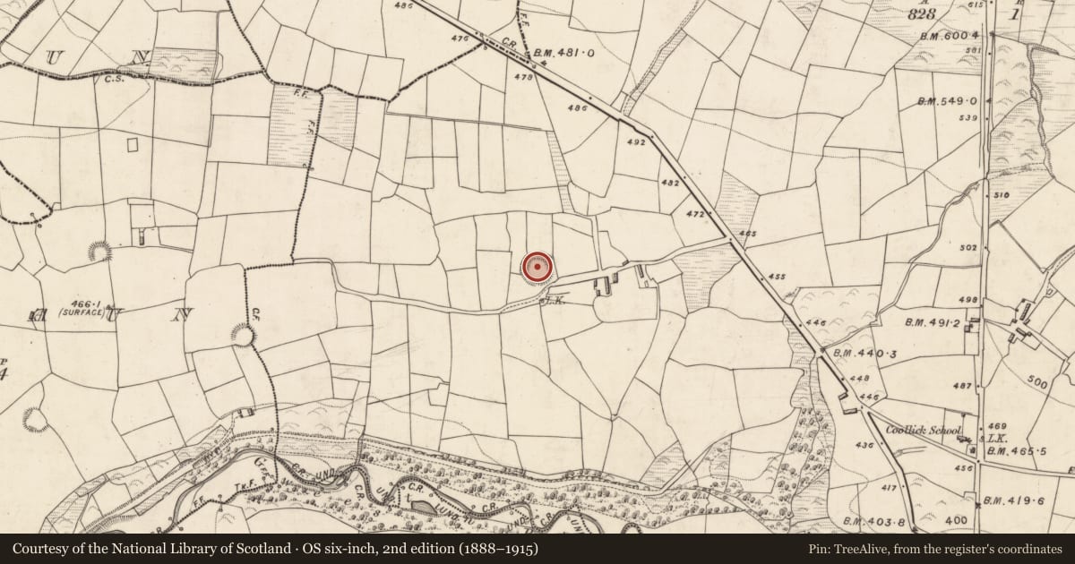 Ordnance Survey six-inch map, 2nd edition (1888–1915) covering the location of Ringfort - rath, Coollick (Magunihy By., Kilcummin Par.), County Kerry, with a pin at the register's coordinates