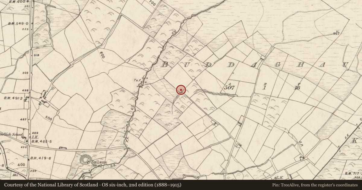 Ordnance Survey six-inch map, 2nd edition (1888–1915) covering the location of Field boundary, Buddaghauns, County Kerry, with a pin at the register's coordinates