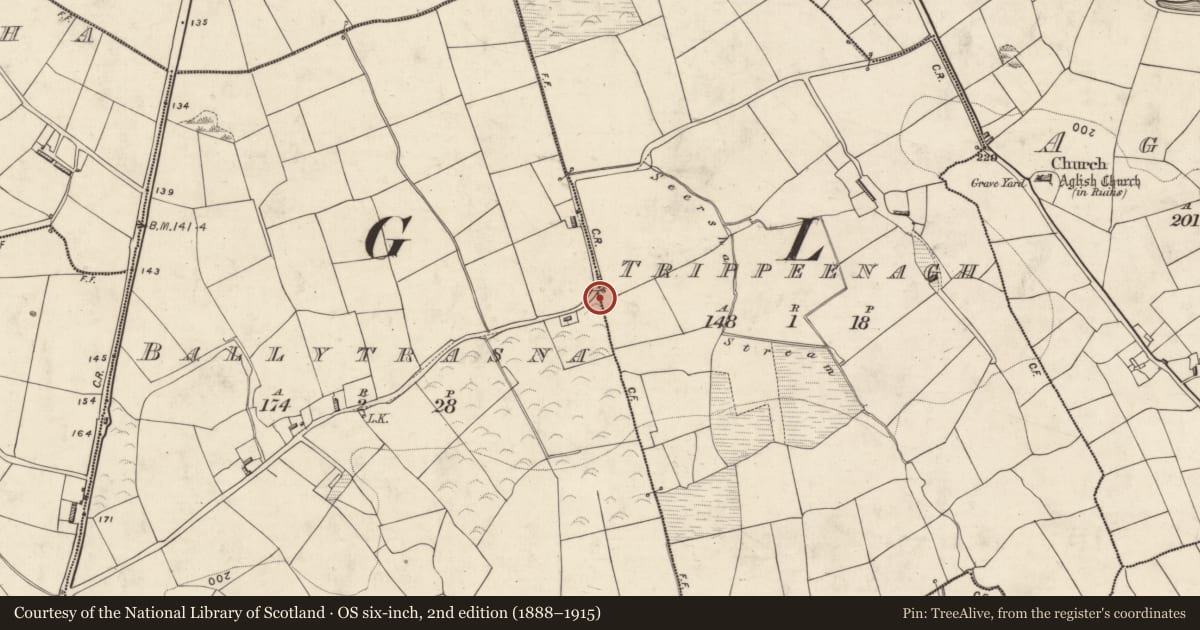 Ordnance Survey six-inch map, 2nd edition (1888–1915) covering the location of Ringfort - rath, Ballytrasna, Trippeenagh, County Kerry, with a pin at the register's coordinates