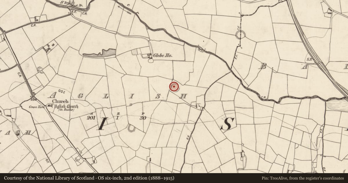 Ordnance Survey six-inch map, 2nd edition (1888–1915) covering the location of Ringfort - rath, Aglish, County Kerry, with a pin at the register's coordinates