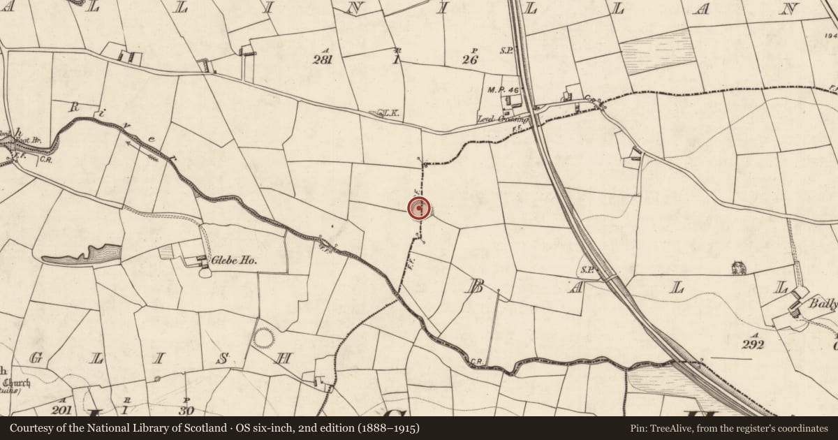 Ordnance Survey six-inch map, 2nd edition (1888–1915) covering the location of Ringfort - rath, Ballinillane, Ballyhar, County Kerry, with a pin at the register's coordinates