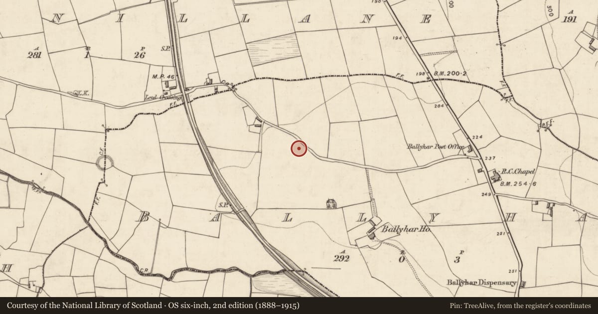 Ordnance Survey six-inch map, 2nd edition (1888–1915) covering the location of Ringfort - rath, Ballyhar, County Kerry, with a pin at the register's coordinates