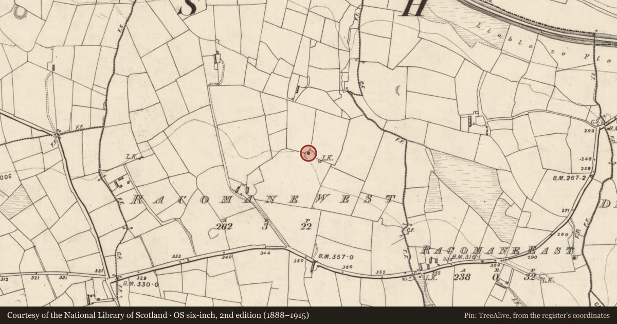 Ordnance Survey six-inch map, 2nd edition (1888–1915) covering the location of Ringfort - rath, Racomane West, County Kerry, with a pin at the register's coordinates