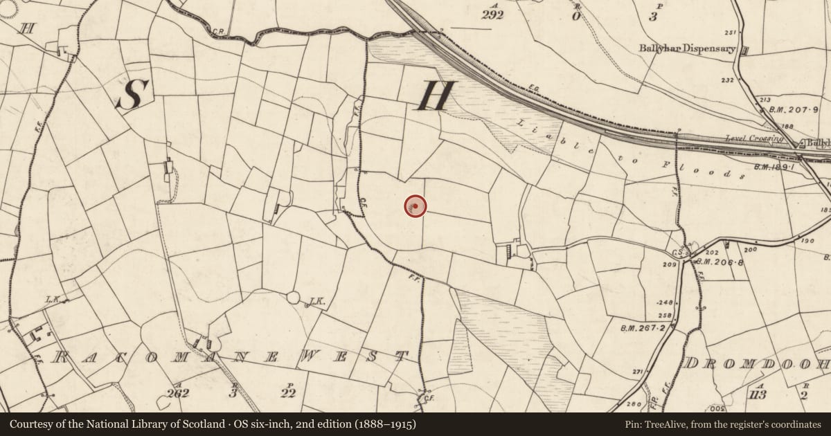 Ordnance Survey six-inch map, 2nd edition (1888–1915) covering the location of Ringfort - rath, Racomane East, County Kerry, with a pin at the register's coordinates
