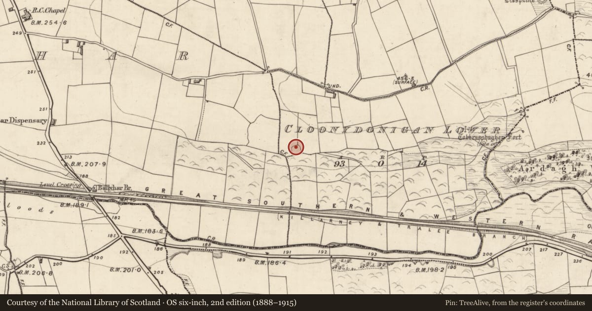 Ordnance Survey six-inch map, 2nd edition (1888–1915) covering the location of Ringfort - rath, Cloonydonigan Lower, County Kerry, with a pin at the register's coordinates
